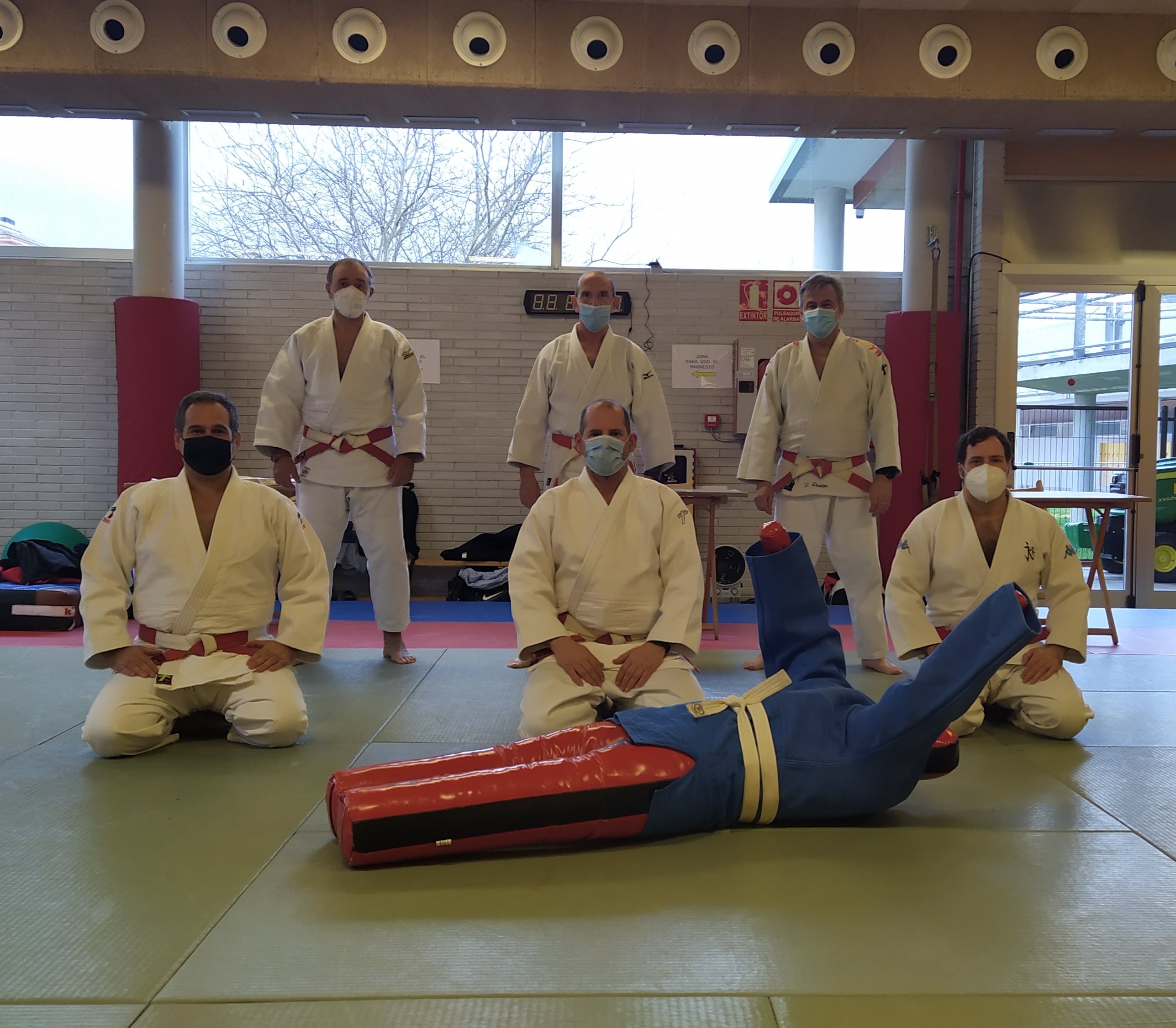 27 NUEVOS CINTURONES NEGROS DE JUDO